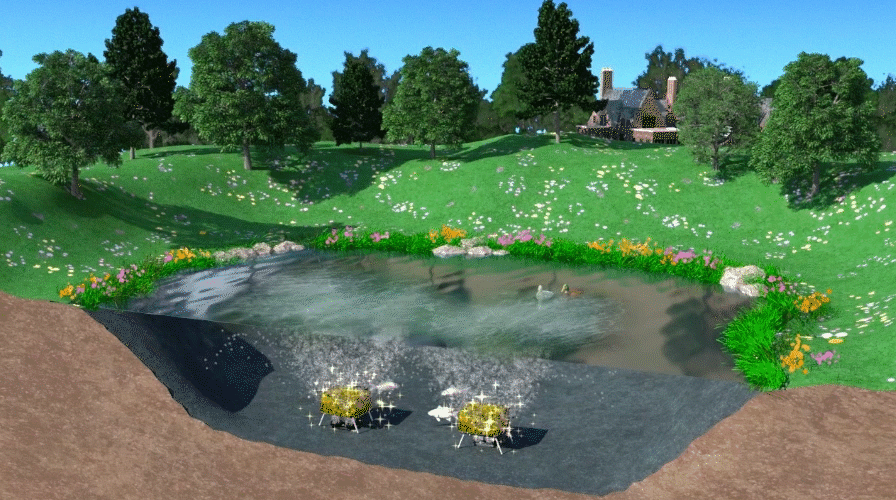 POND-GIF-1-SECOND
